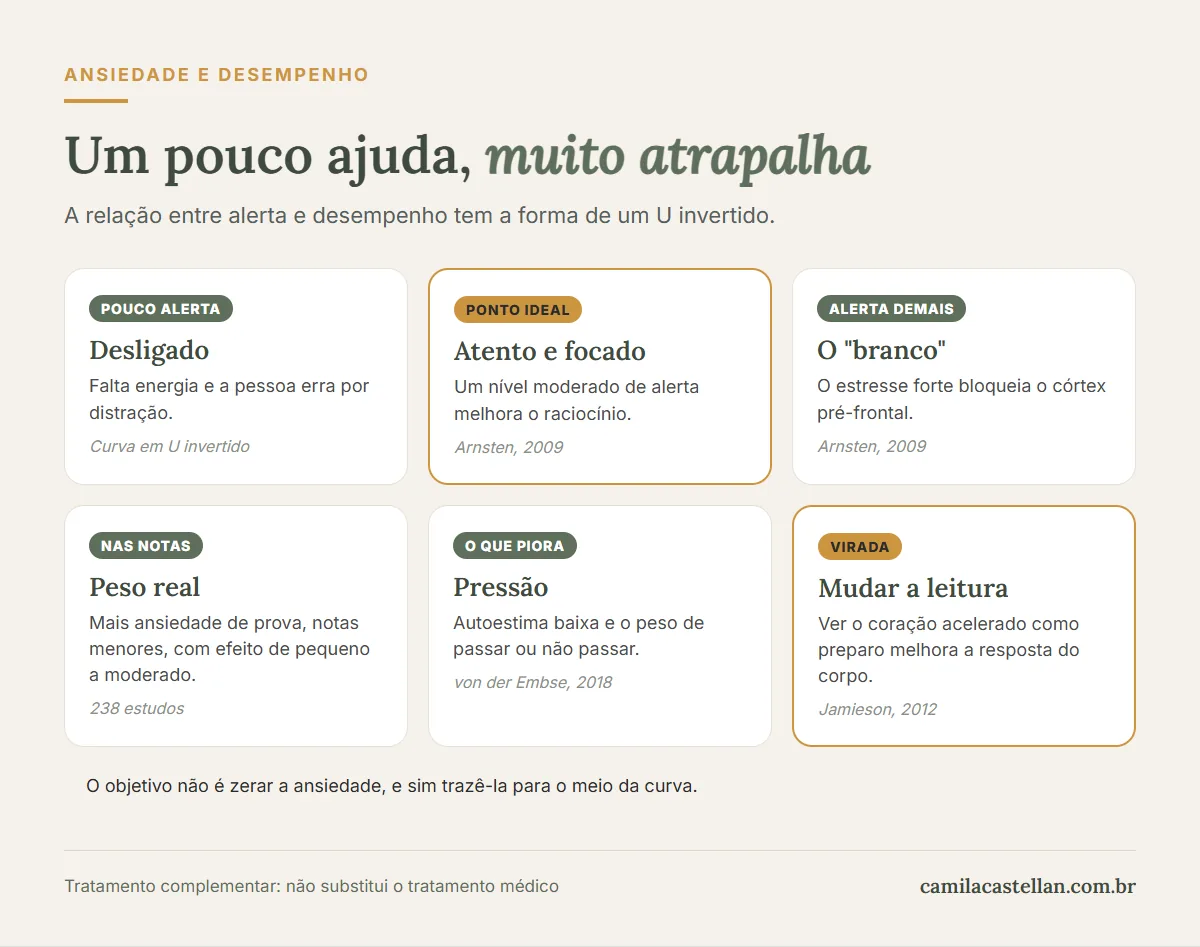 Infográfico: a curva entre ansiedade e desempenho na prova
