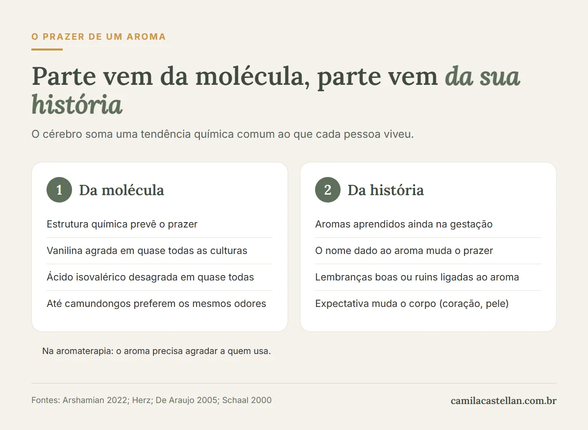 Infográfico: o que vem da molécula e o que vem da história de cada pessoa no prazer de um aroma
