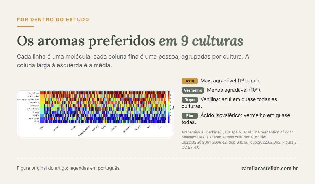 Mapa de cores do estudo de Arshamian e colaboradores (2022): pessoas de 9 culturas e de Nova York ordenaram 10 aromas; a vanilina aparece em azul, como a mais agradável, e o ácido isovalérico em vermelho, como a menos agradável, em todas as culturas