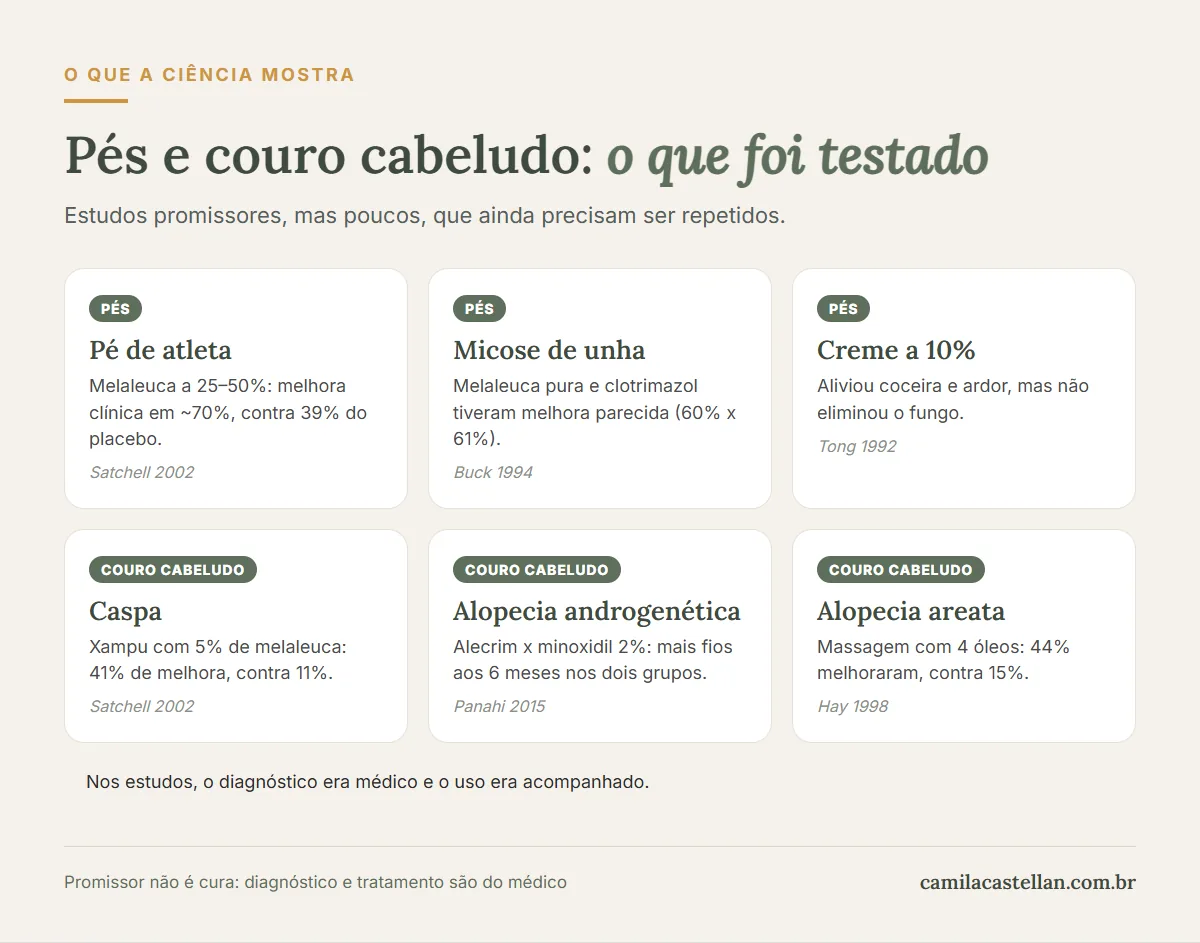 Infográfico: o que os estudos mostram sobre óleos essenciais nos pés e no couro cabeludo: melaleuca em pé de atleta, micose de unha e caspa, alecrim e alopecia