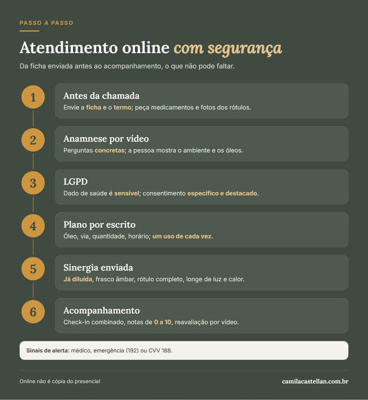 Infográfico: passo a passo do atendimento online de aromaterapia com segurança, da ficha ao acompanhamento