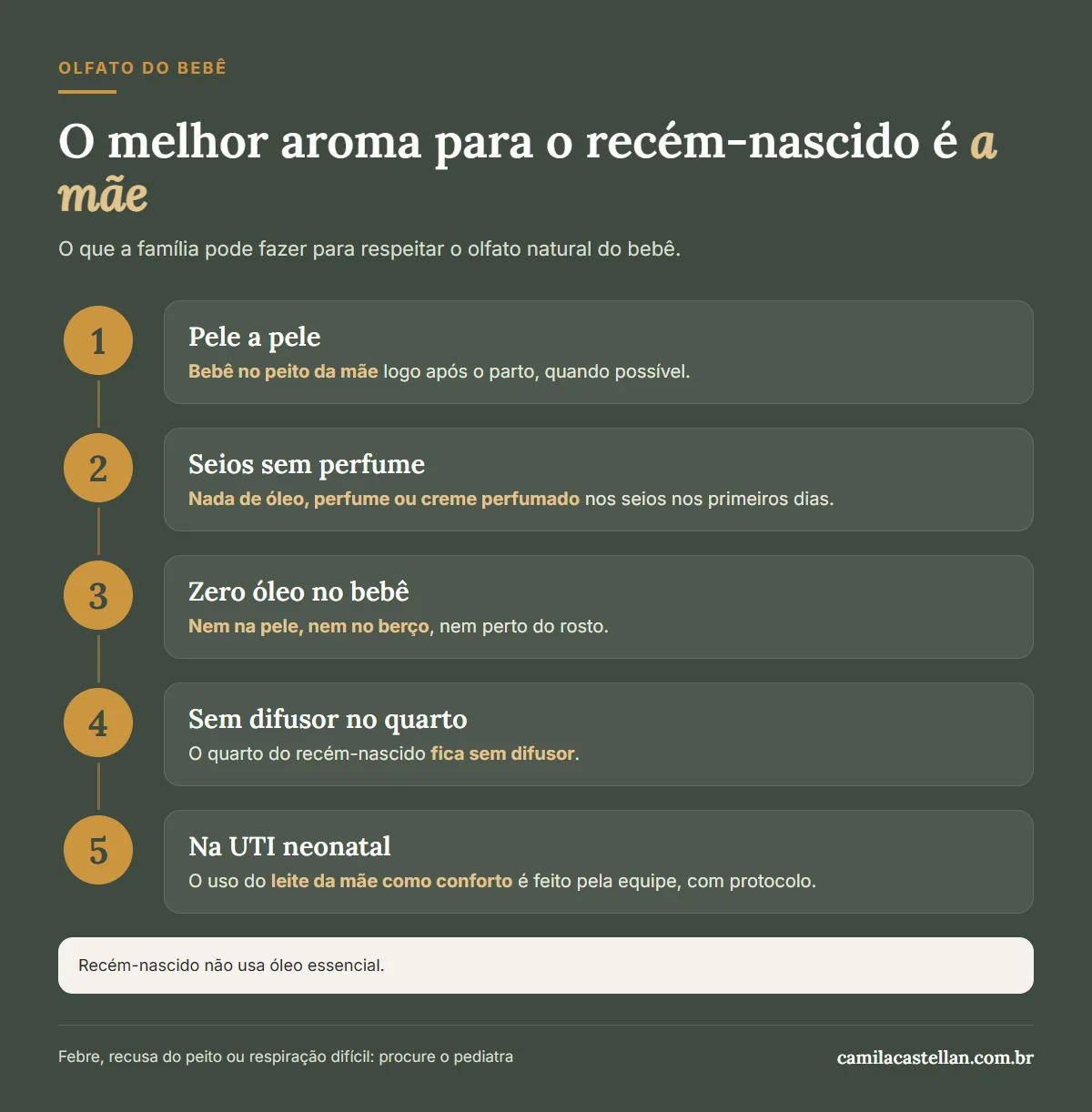 Infográfico: o que a família pode fazer para respeitar o olfato natural do recém-nascido