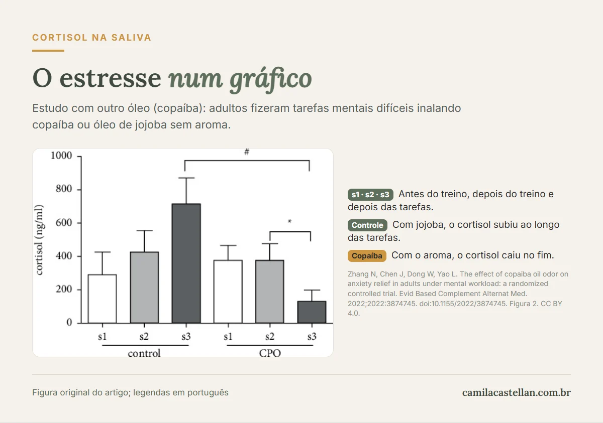 Gráfico de barras do cortisol na saliva em três momentos de um estudo com tarefas mentais: no grupo controle o cortisol sobe, no grupo que inalou copaíba ele cai