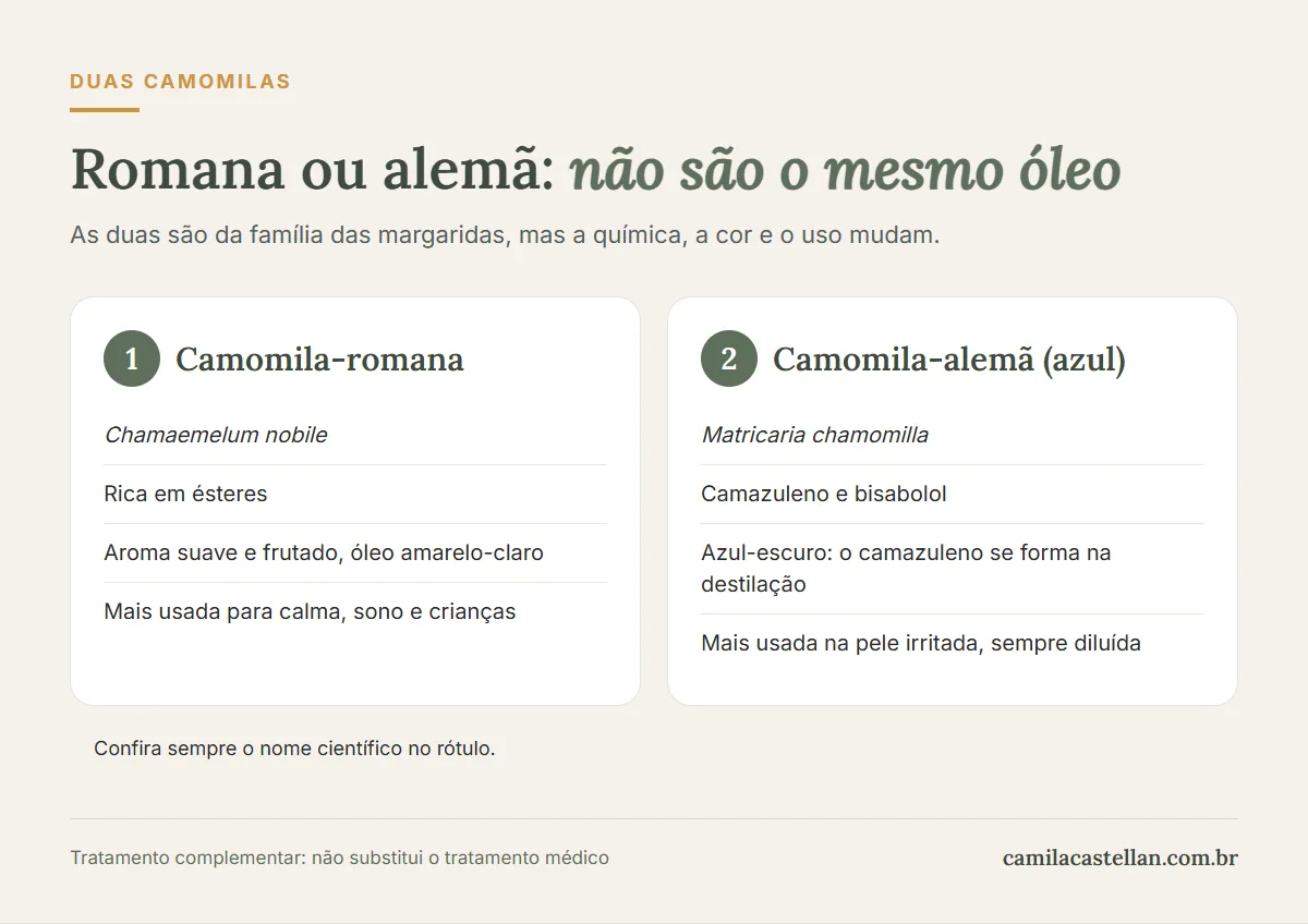 Infográfico: diferenças entre o óleo essencial de camomila-romana e de camomila-alemã