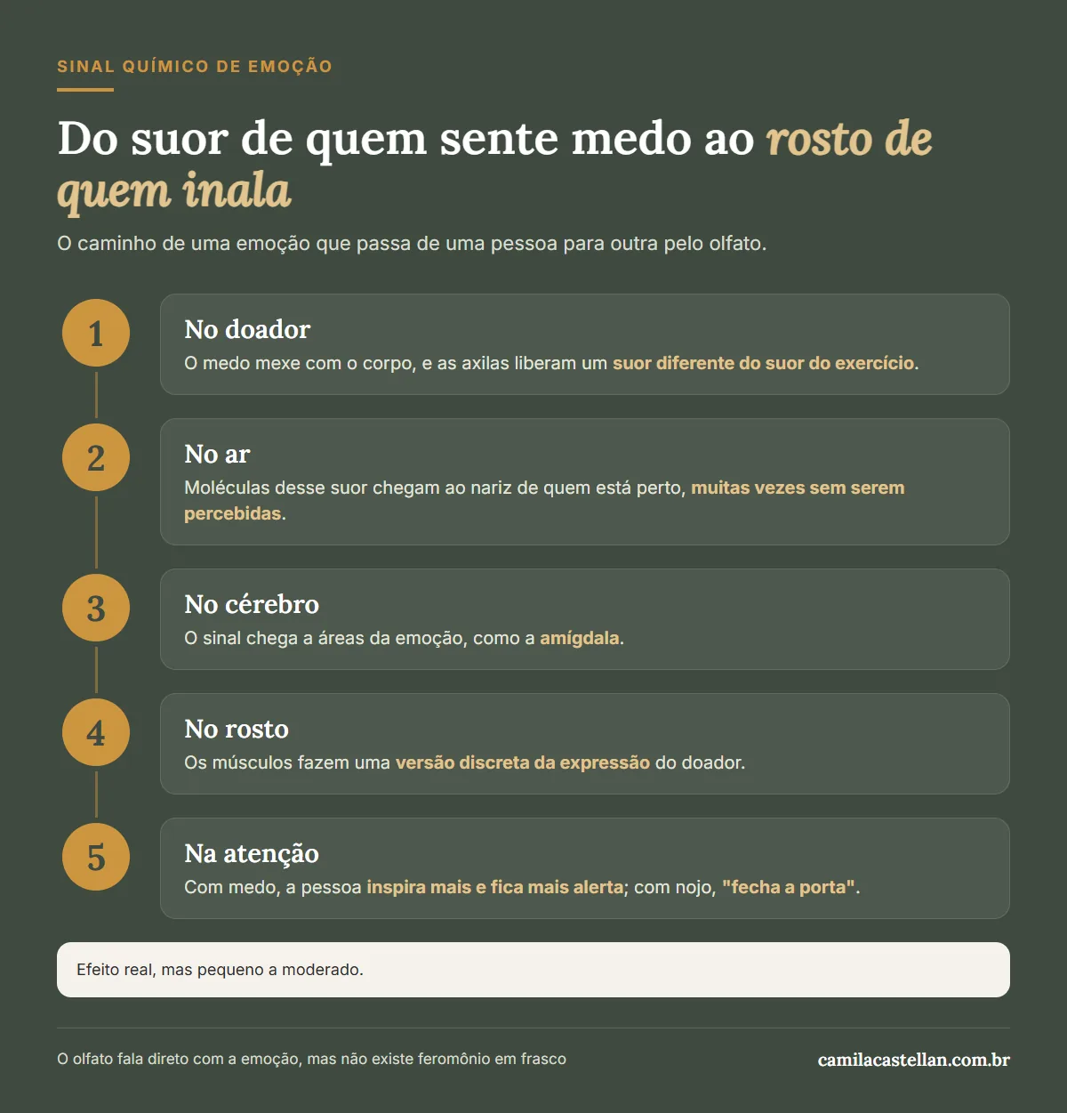 Infográfico: o caminho de um sinal químico de emoção, do suor do doador ao rosto e à atenção de quem inala