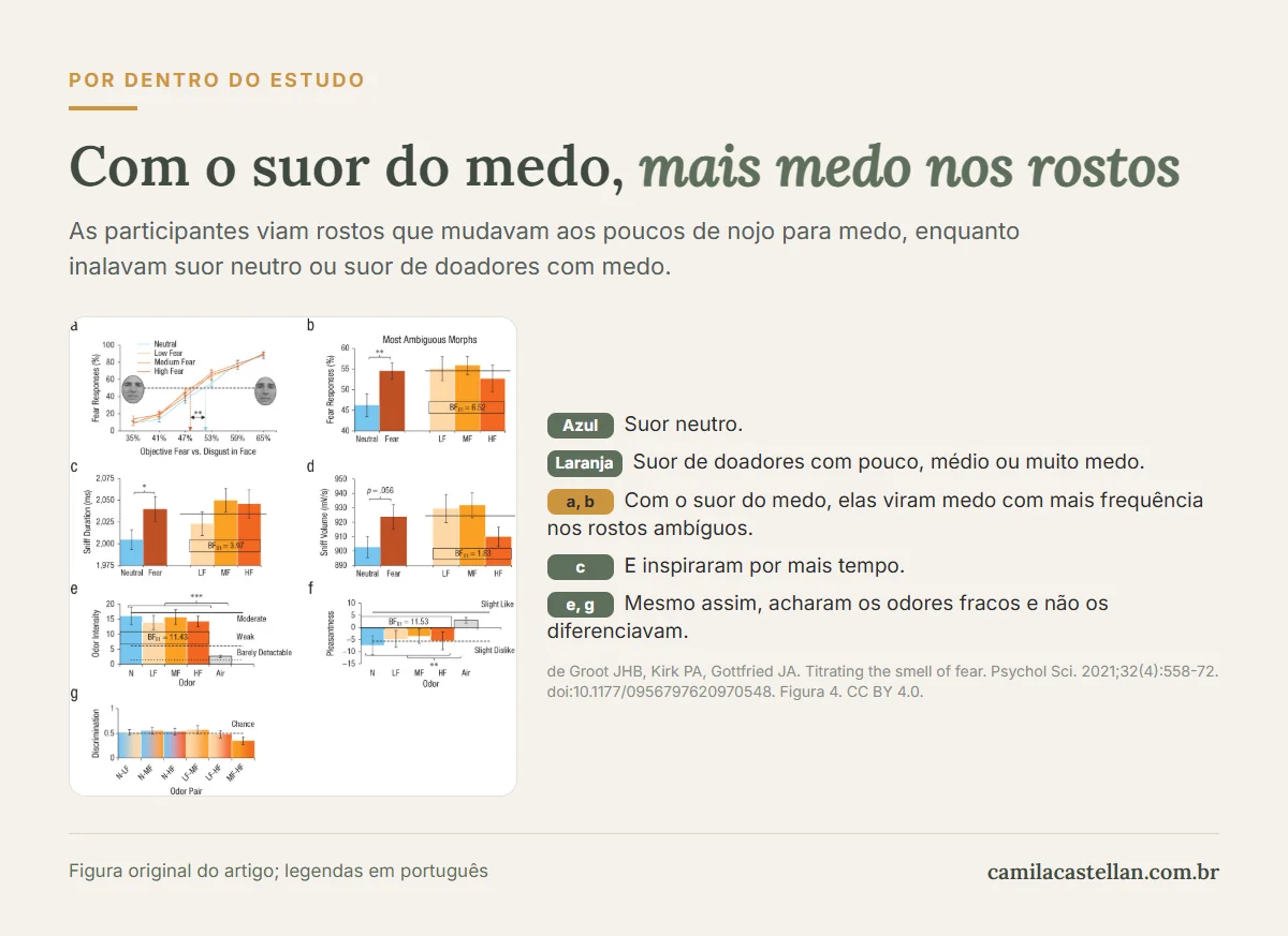 Gráficos do estudo de de Groot e colegas (2021): respostas de medo a rostos ambíguos, duração e volume da inspiração, intensidade, agradabilidade e discriminação dos odores com suor neutro e suor de medo