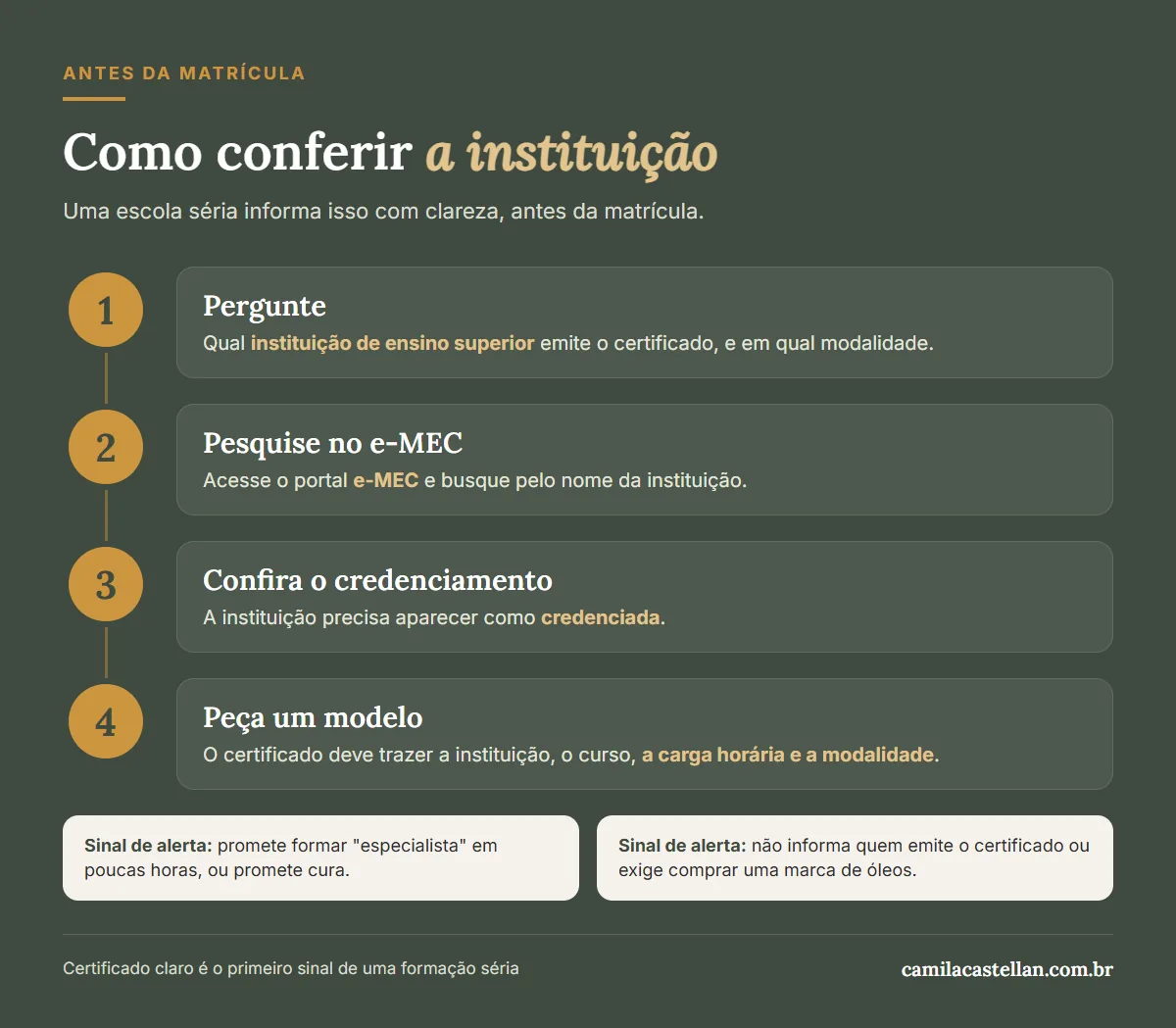 Infográfico: como conferir no e-MEC se a instituição que emite o certificado é credenciada