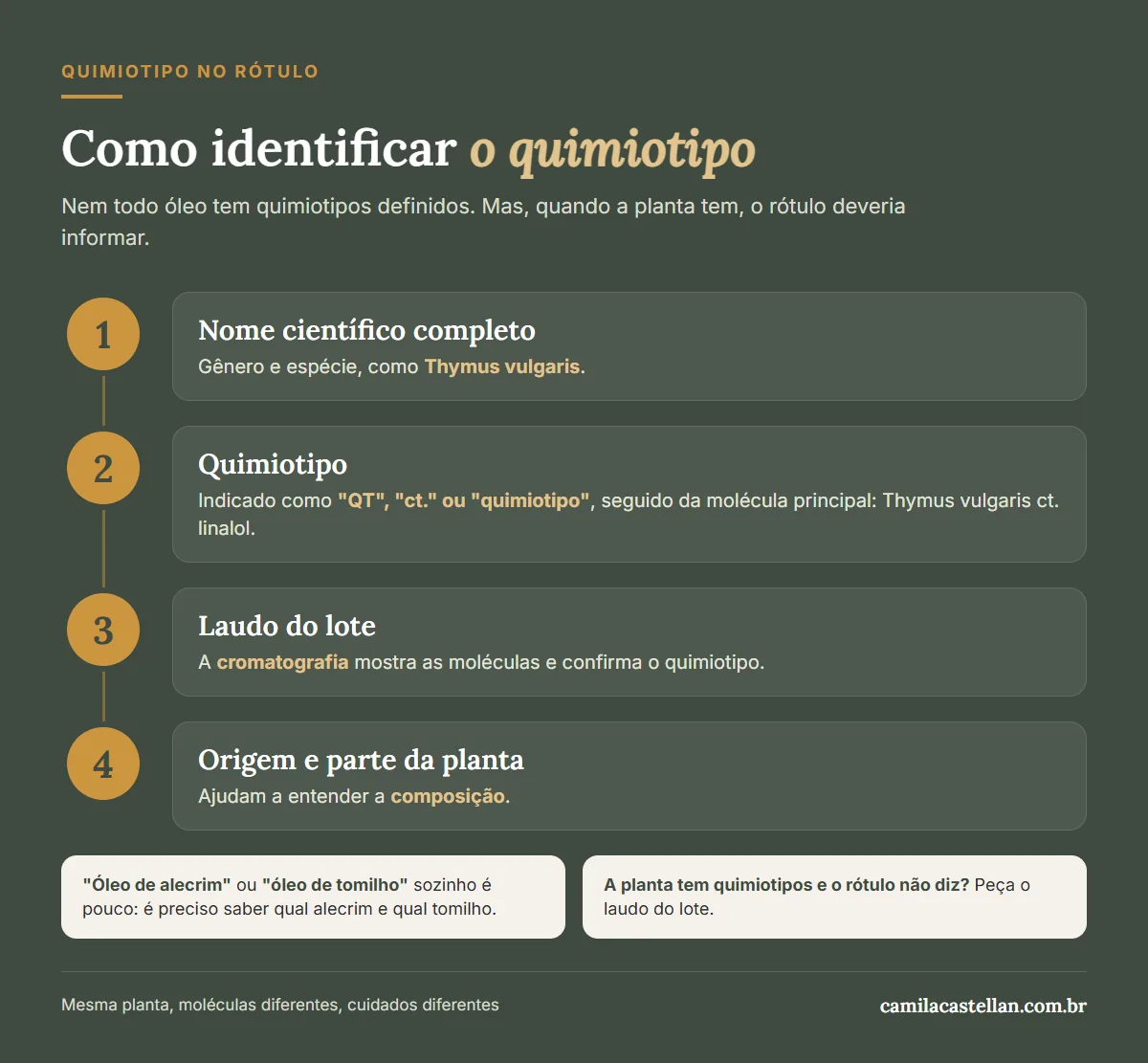 Infográfico: como identificar o quimiotipo no rótulo do óleo essencial, nome científico, QT, laudo e origem