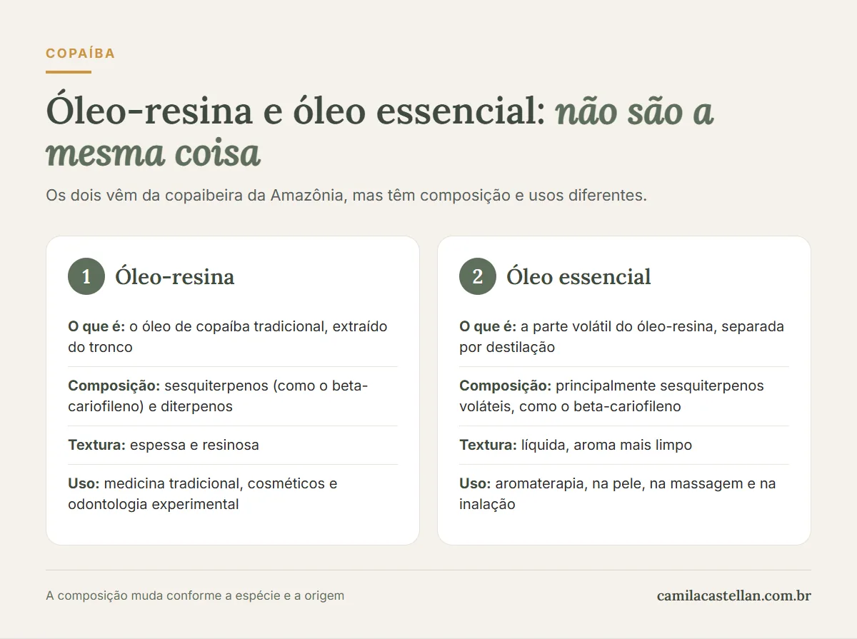 Infográfico: óleo-resina e óleo essencial de copaíba não são a mesma coisa — composição, textura e uso