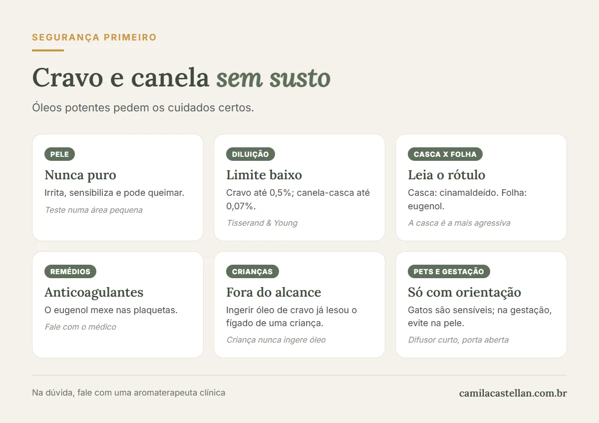 Infográfico: cuidados de segurança com os óleos essenciais de cravo e de canela