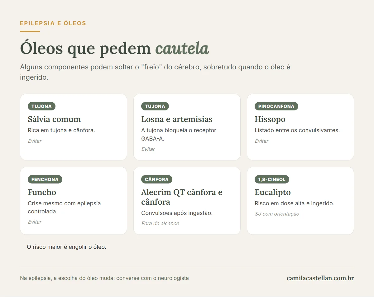 Infográfico: óleos essenciais que pedem cautela na epilepsia e seus componentes