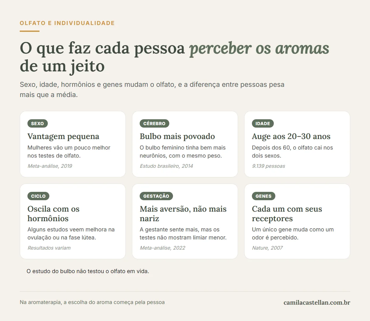 Infográfico: o que muda o olfato ao longo da vida, de sexo e idade a ciclo menstrual, gestação, menopausa e genética