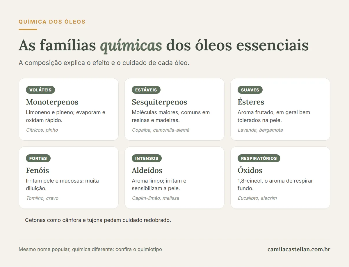 Infográfico: as seis famílias químicas mais comuns dos óleos essenciais