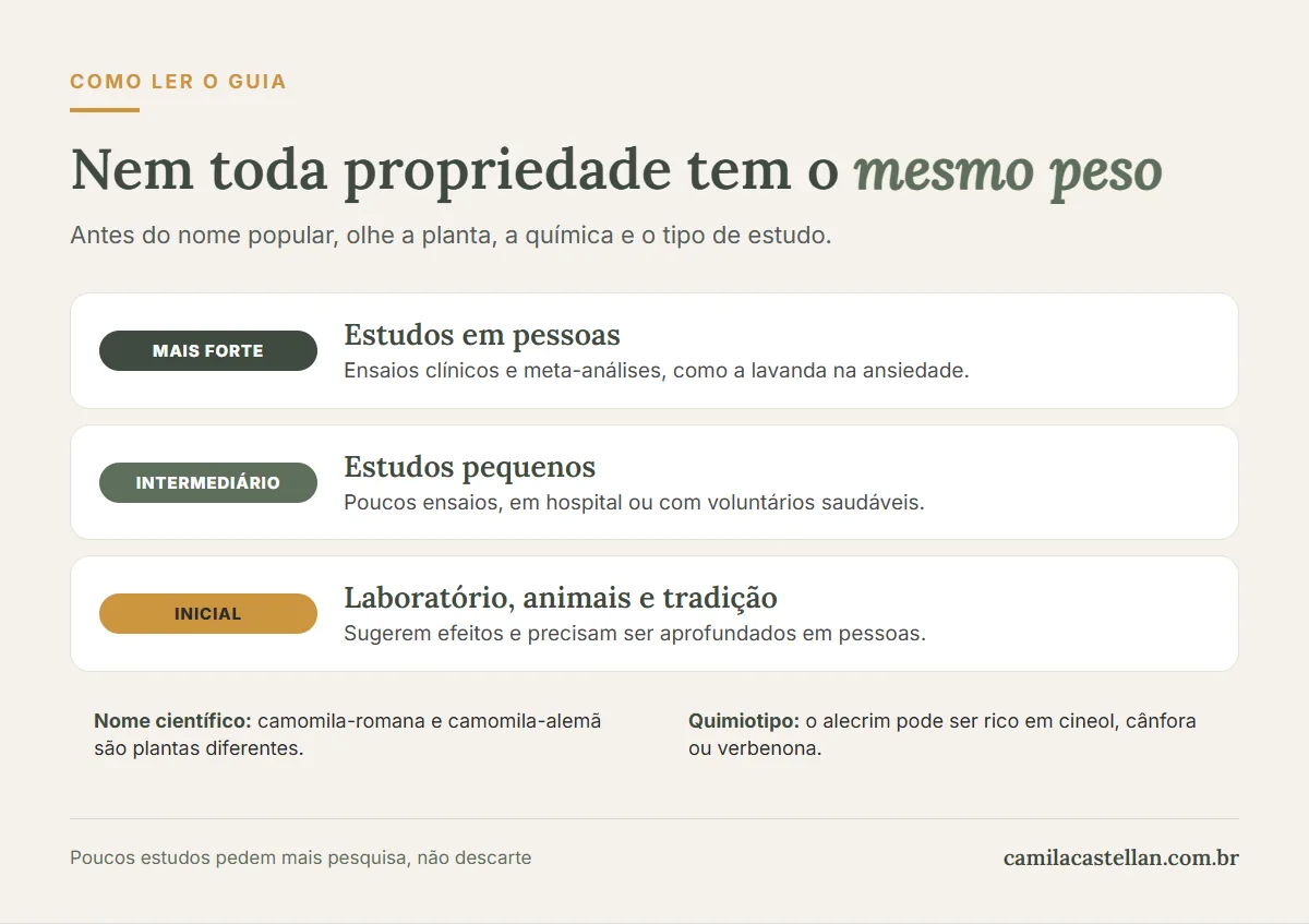 Infográfico: como ler o guia de óleos essenciais, com nome científico, quimiotipo e níveis de evidência