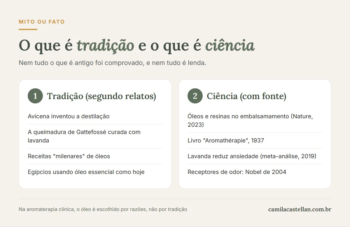 Infográfico: o que vem da tradição e o que vem da ciência na aromaterapia