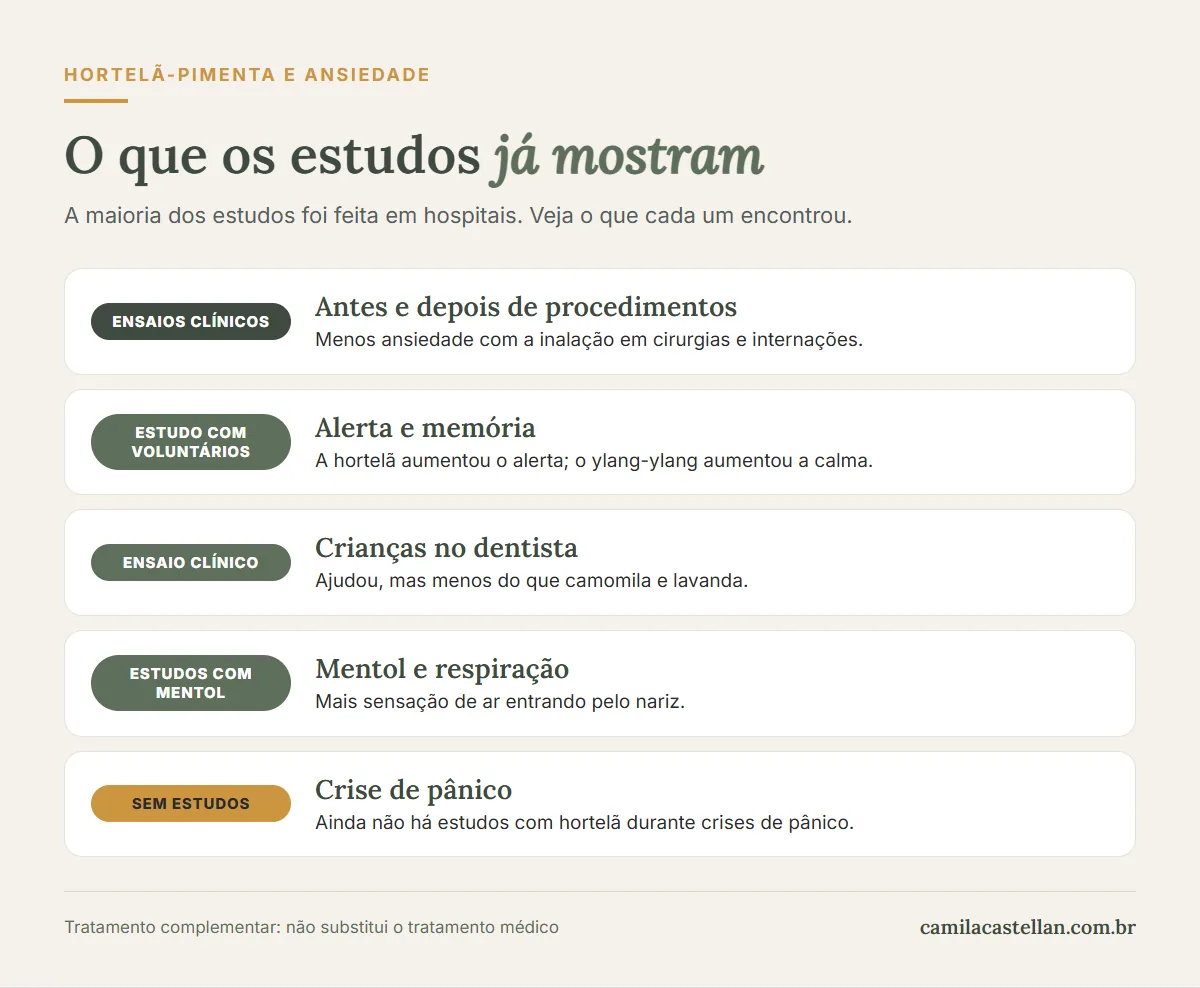 Infográfico: o que os estudos mostram sobre hortelã-pimenta e ansiedade
