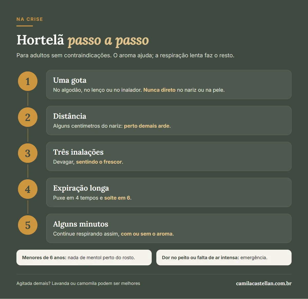 Infográfico: como usar a hortelã na crise de ansiedade, passo a passo