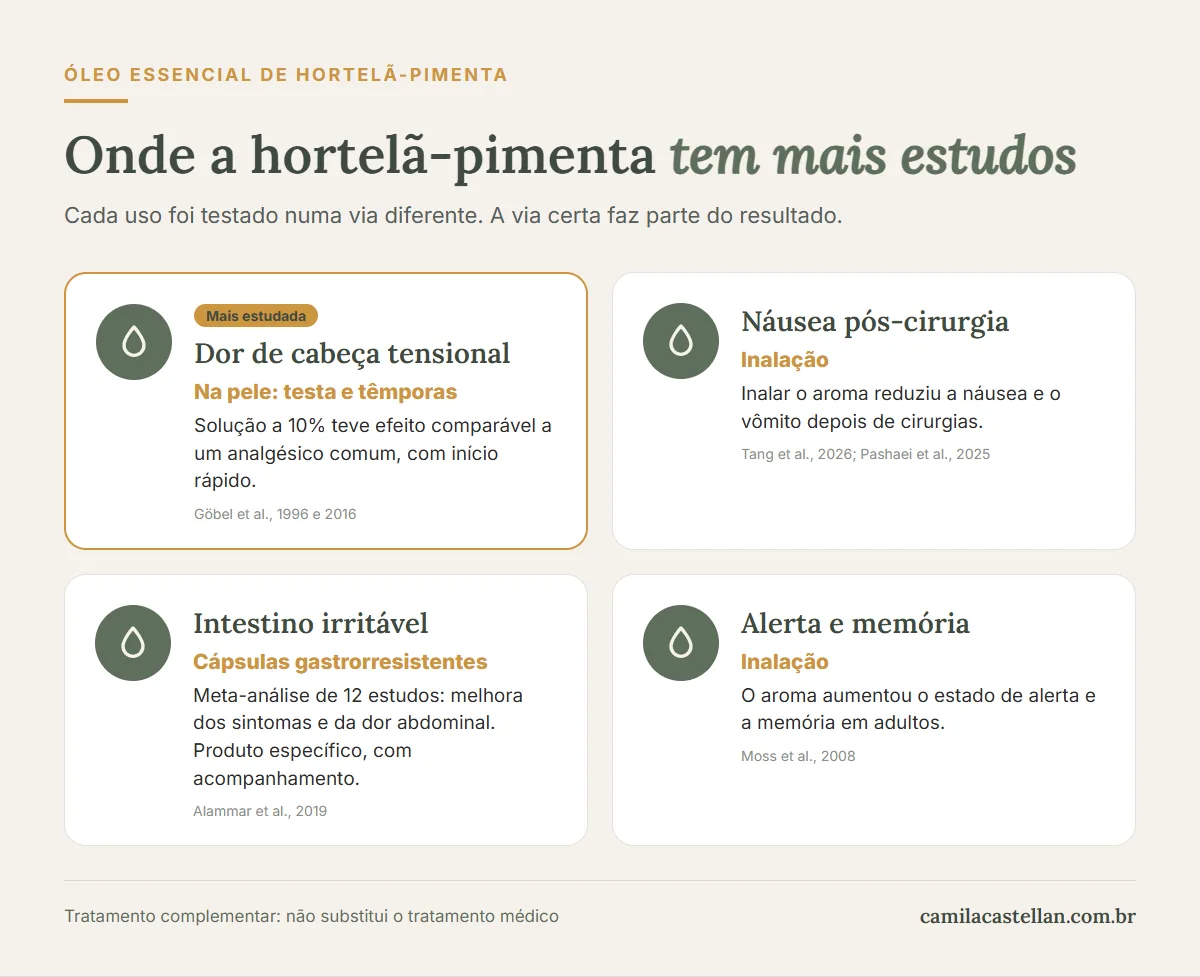 Infográfico: onde a hortelã-pimenta tem mais estudos — dor de cabeça tensional, náusea pós-cirurgia, intestino irritável e alerta