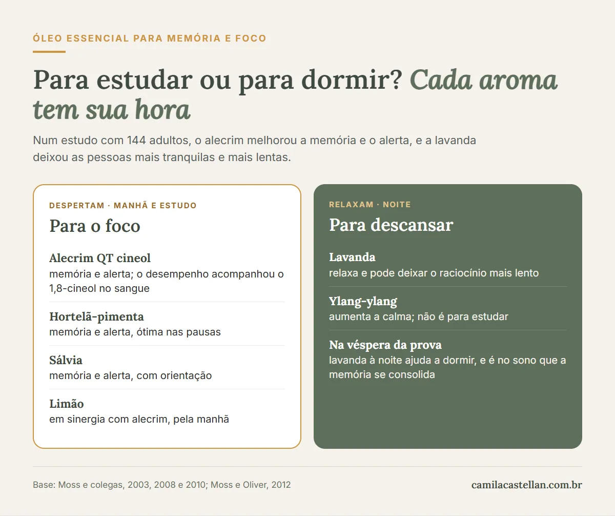 Infográfico: aromas para estudar e aromas para dormir, alecrim, hortelã-pimenta, sálvia, limão, lavanda e ylang-ylang
