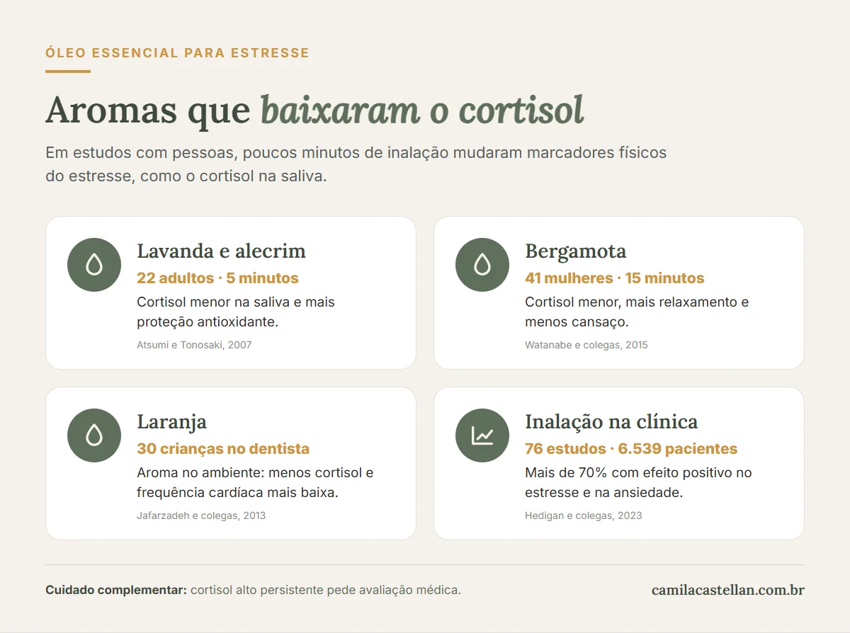 Infográfico: aromas que baixaram o cortisol em estudos, lavanda, alecrim, bergamota e laranja