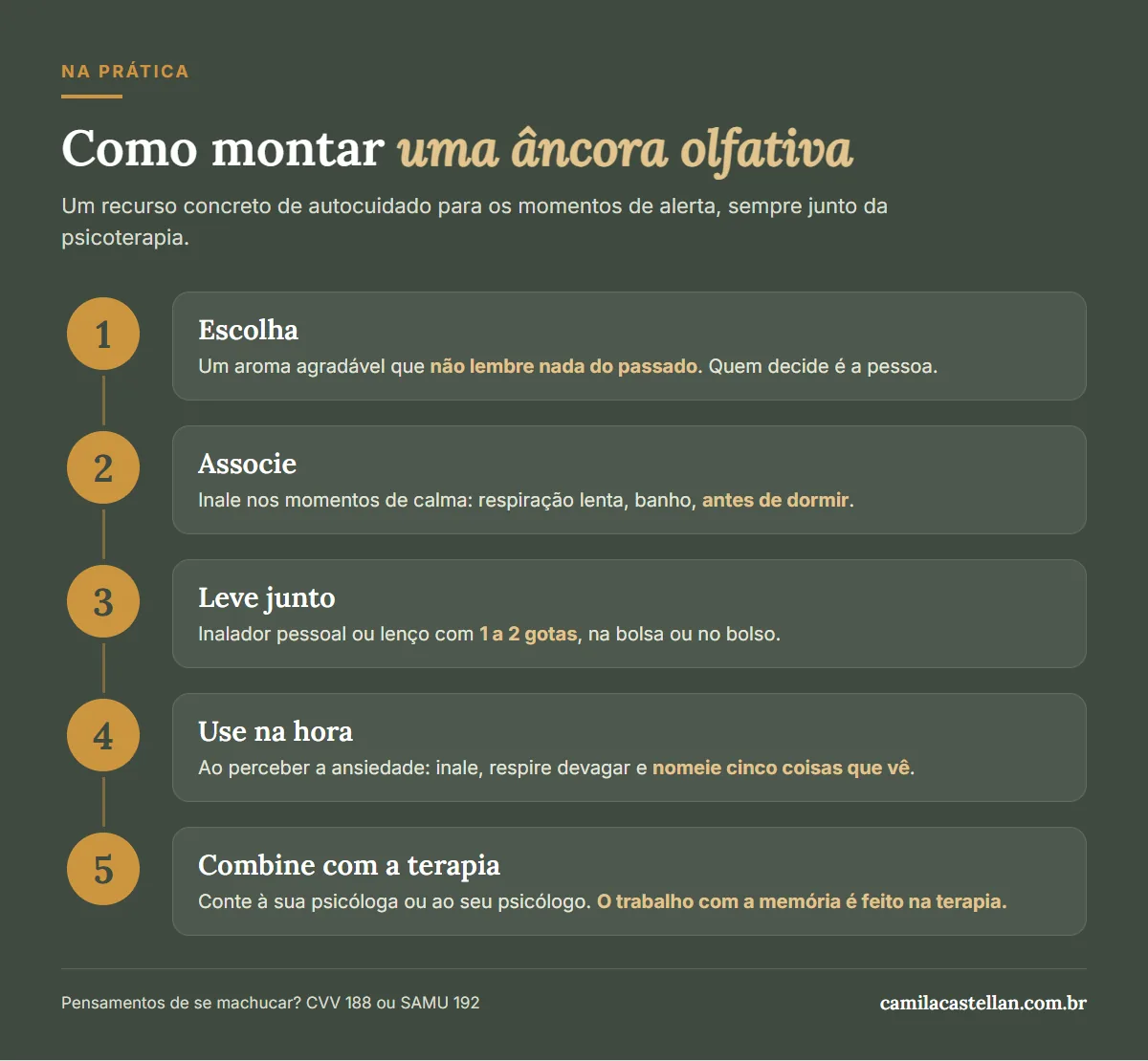 Infográfico: como montar uma âncora olfativa em 5 passos