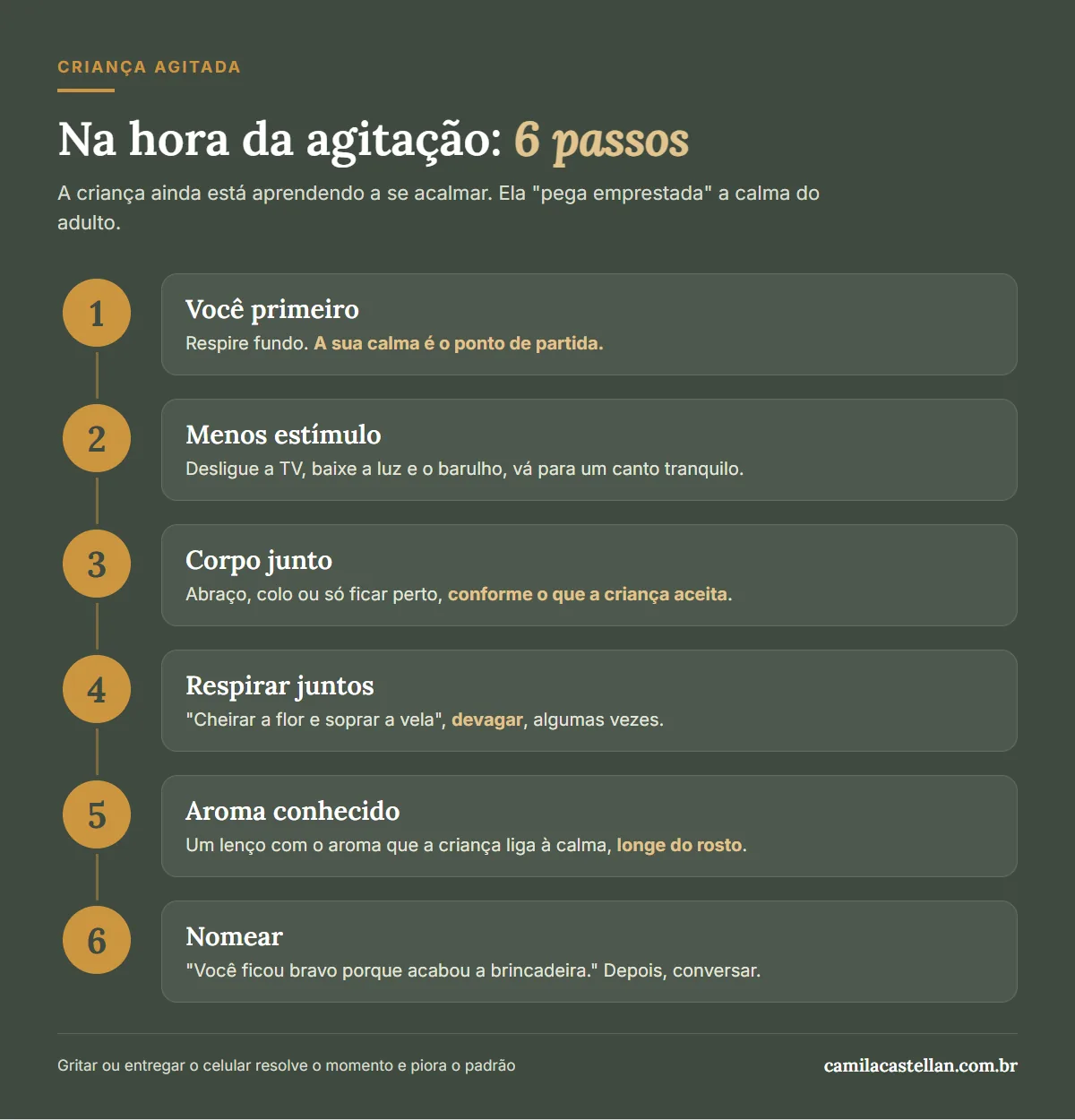 Infográfico: o que fazer na hora da agitação da criança em 6 passos