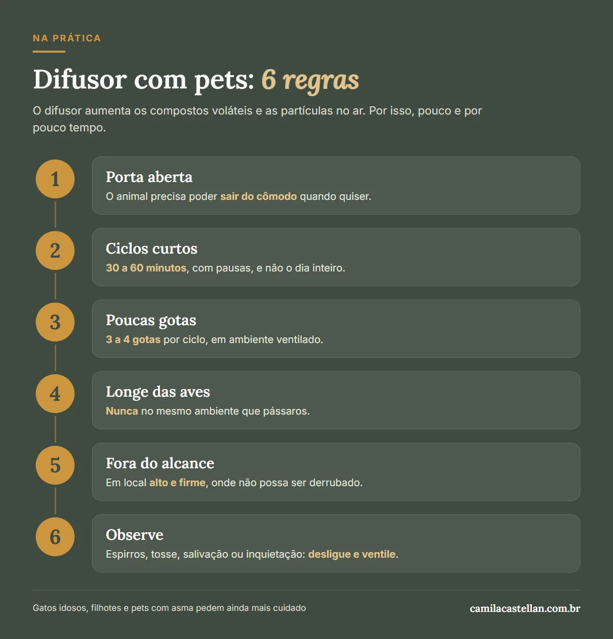 Infográfico: difusor com pets em casa, 6 regras de segurança