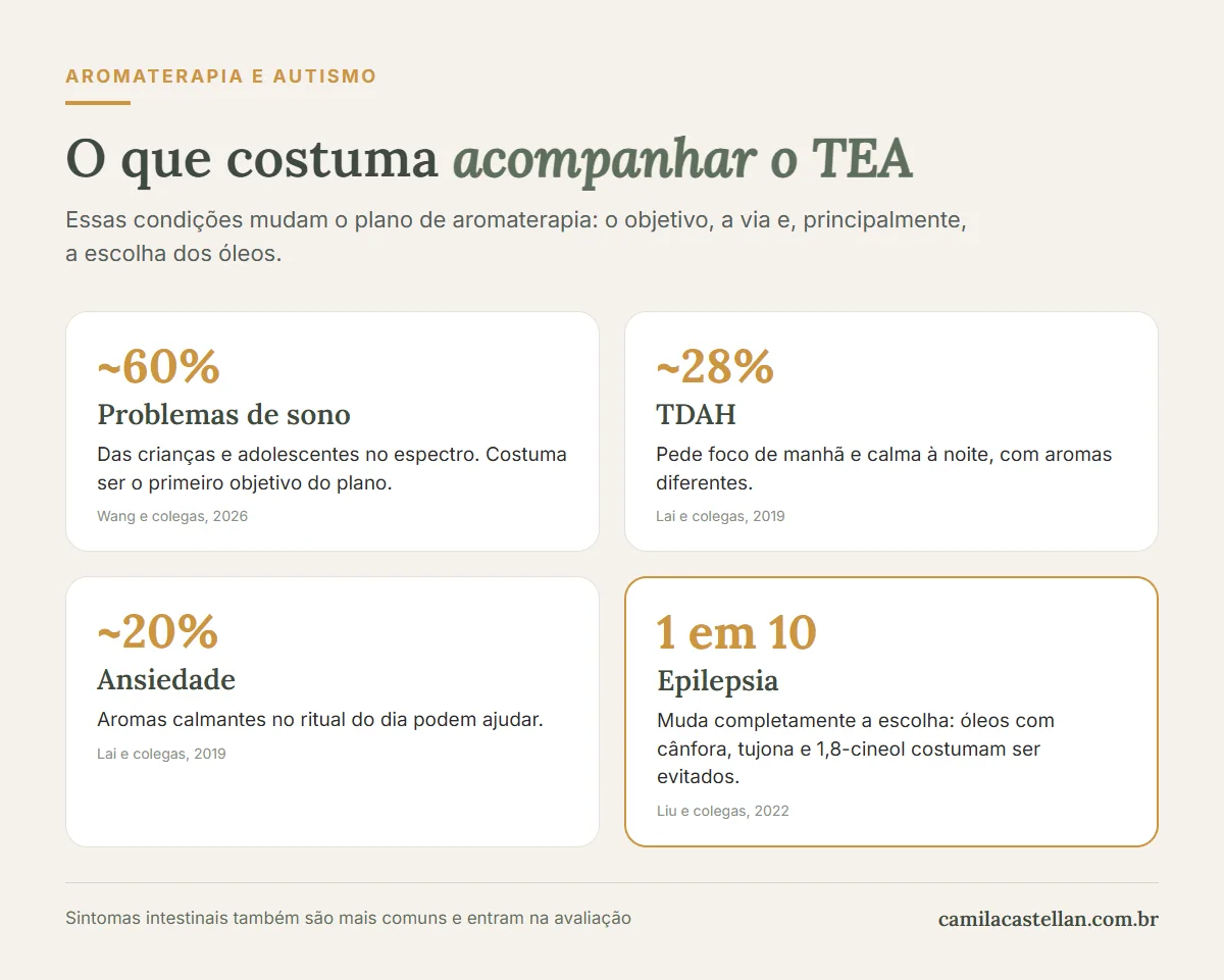 Infográfico: condições que costumam acompanhar o TEA, sono, TDAH, ansiedade e epilepsia