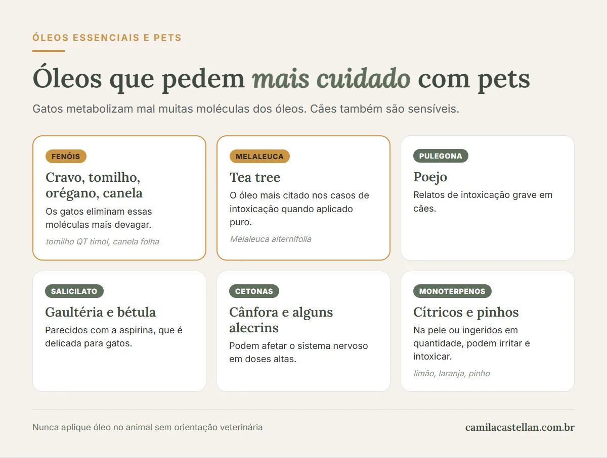Infográfico: óleos essenciais que pedem mais cuidado com cães e gatos