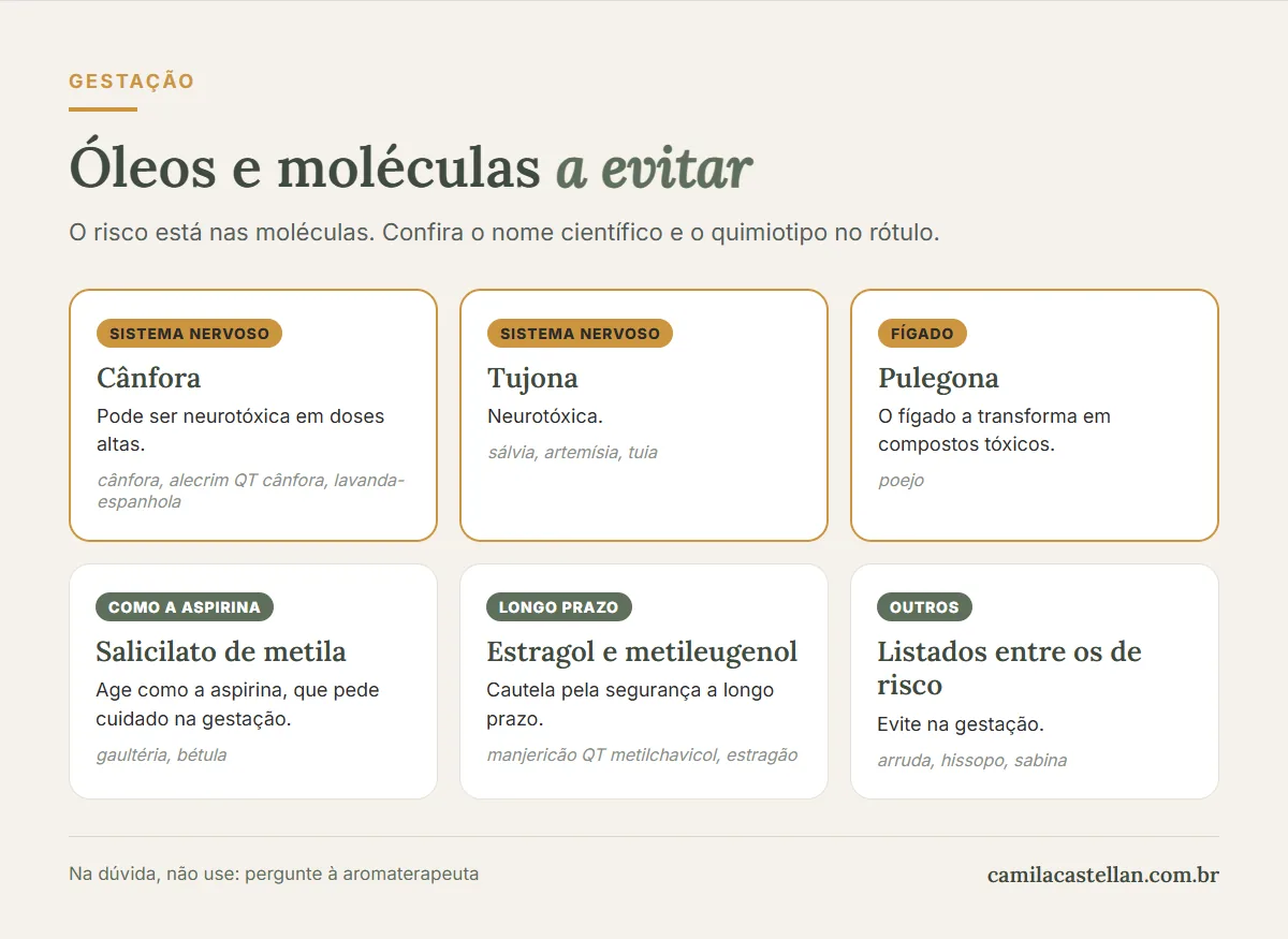 Infográfico: óleos e moléculas a evitar na gestação, cânfora, tujona, pulegona, salicilato de metila e estragol