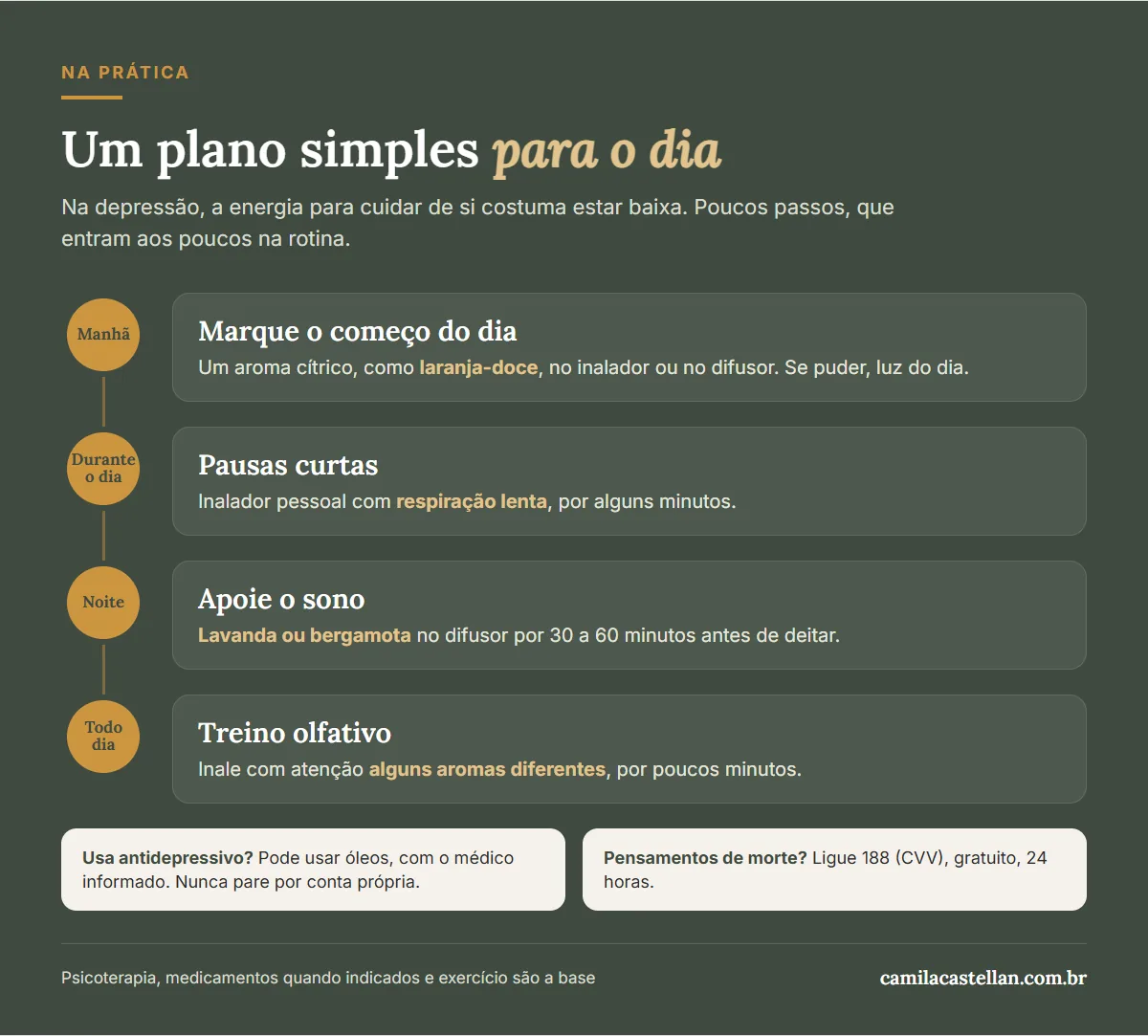 Infográfico: um plano simples de aromaterapia para o dia, manhã, pausas, noite e treino olfativo