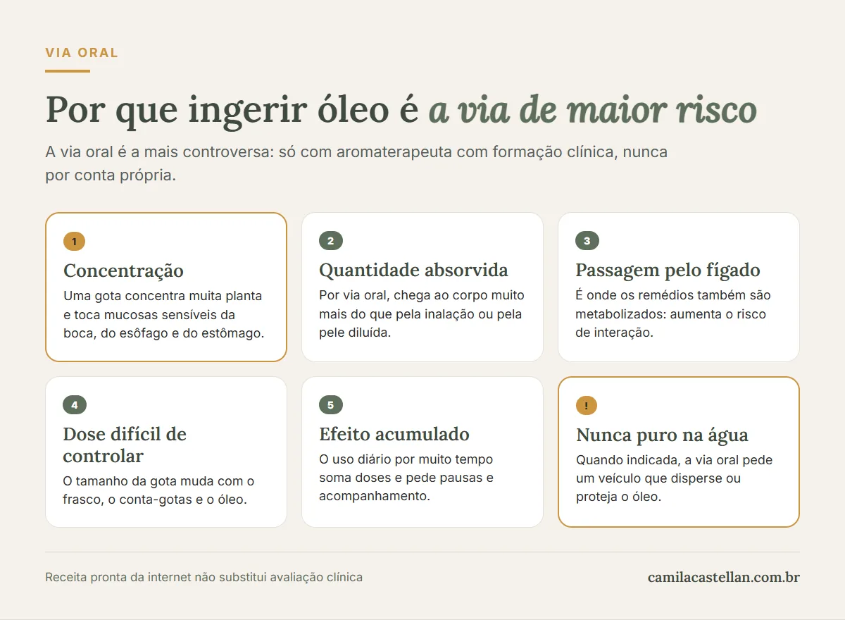 Infográfico: por que ingerir óleo essencial é a via de maior risco, concentração, absorção, fígado, dose e efeito acumulado