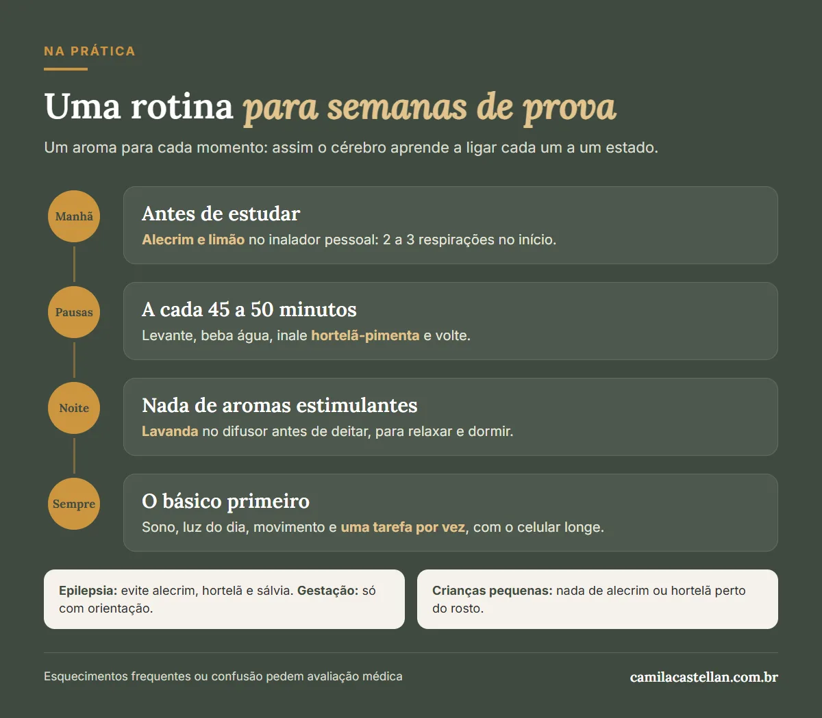 Infográfico: uma rotina de aromas para semanas de prova, manhã, pausas e noite