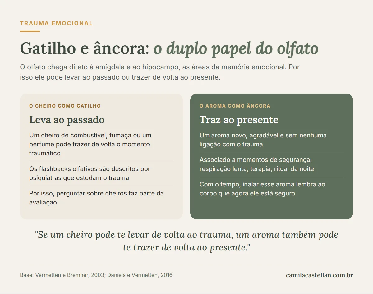 Infográfico: gatilho e âncora, o duplo papel do olfato no trauma emocional