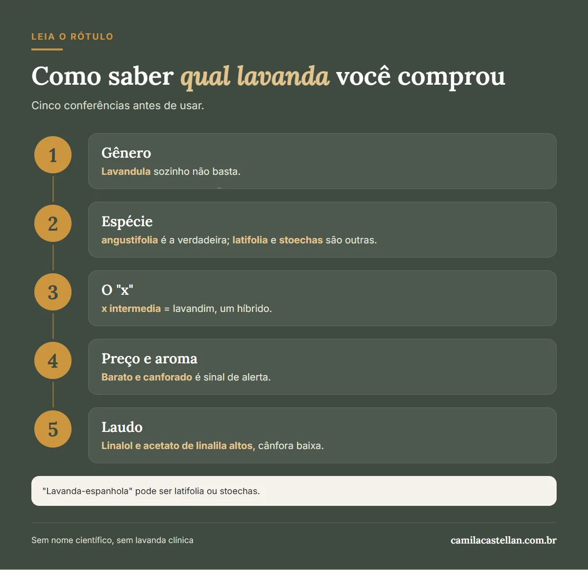 Infográfico: como ler o nome científico da lavanda no rótulo, passo a passo