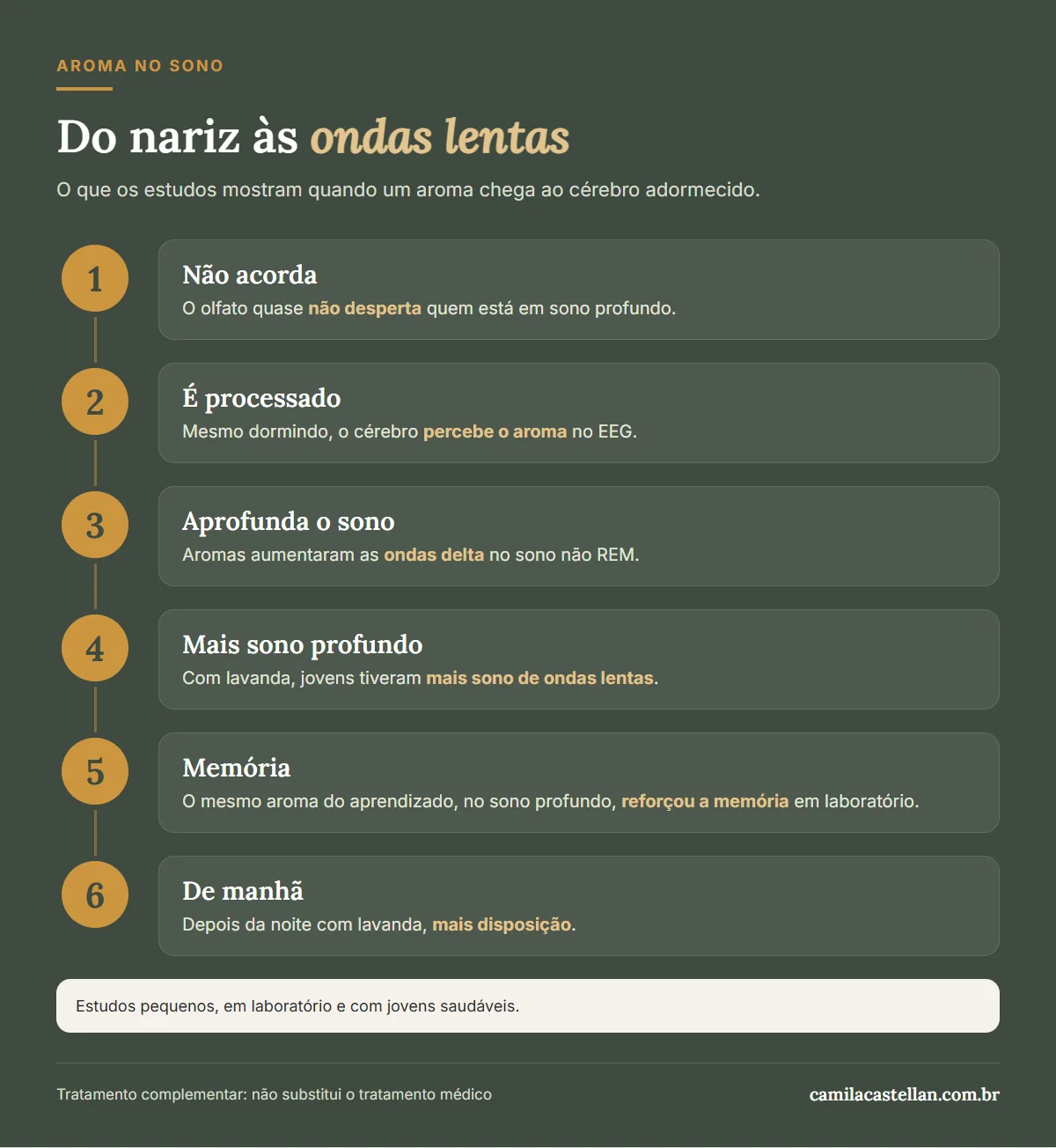 Infográfico: o que acontece no cérebro quando um aroma chega durante o sono