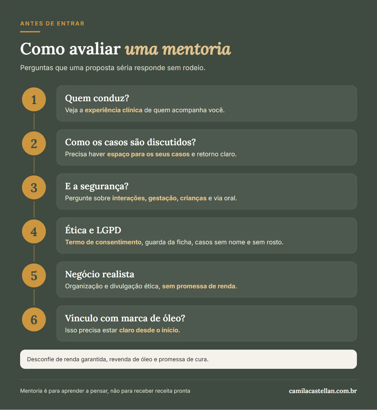 Infográfico: passo a passo para avaliar uma mentoria para aromaterapeutas, com perguntas sobre casos, segurança, ética, LGPD e negócio