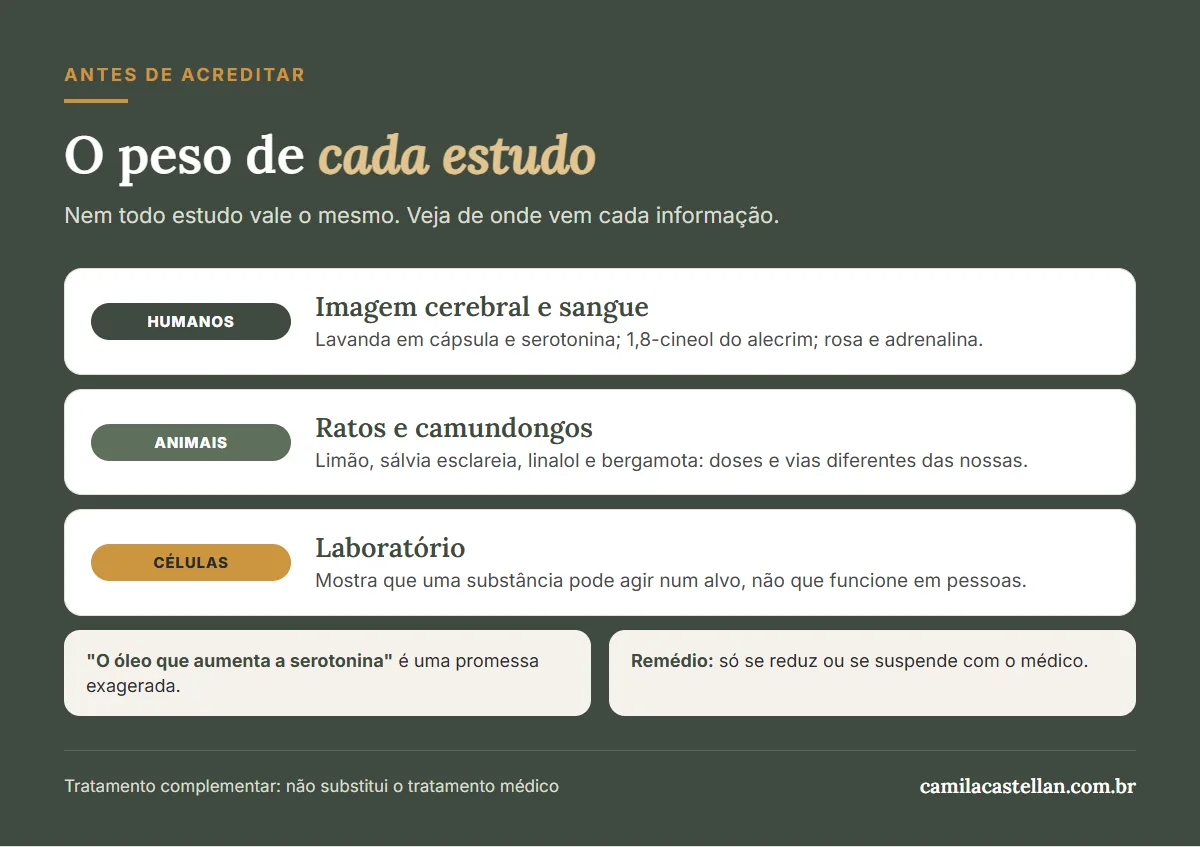 Infográfico: níveis de evidência dos estudos sobre óleos essenciais e neurotransmissores