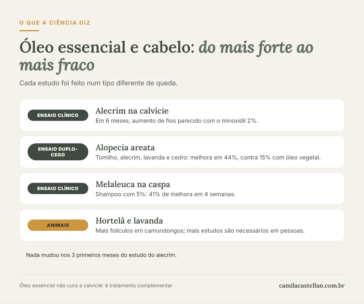Infográfico: o que os estudos mostram sobre óleo essencial para cabelo e queda de cabelo, com nível de evidência