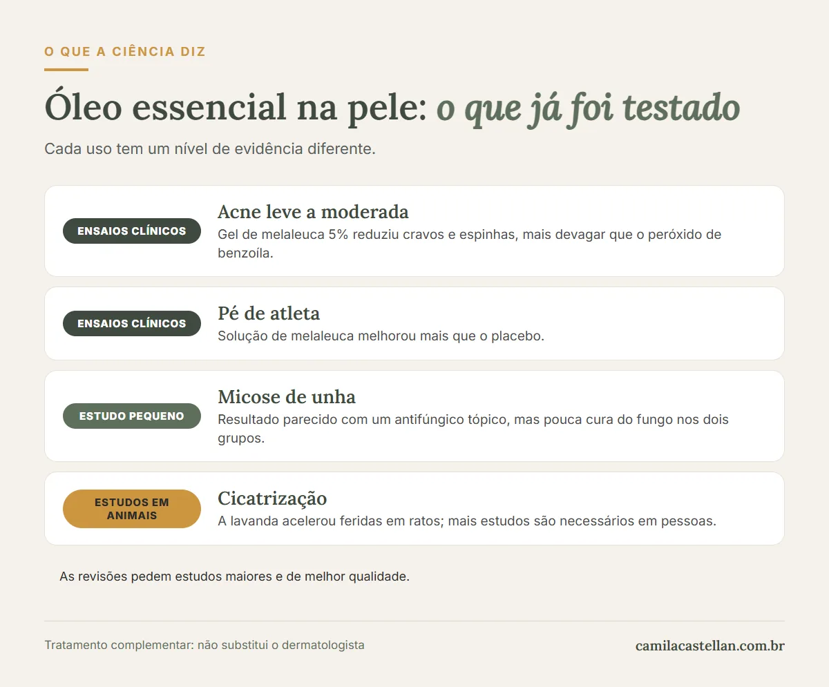 Infográfico: o que os estudos mostram sobre óleo essencial para acne, micose e cicatrização