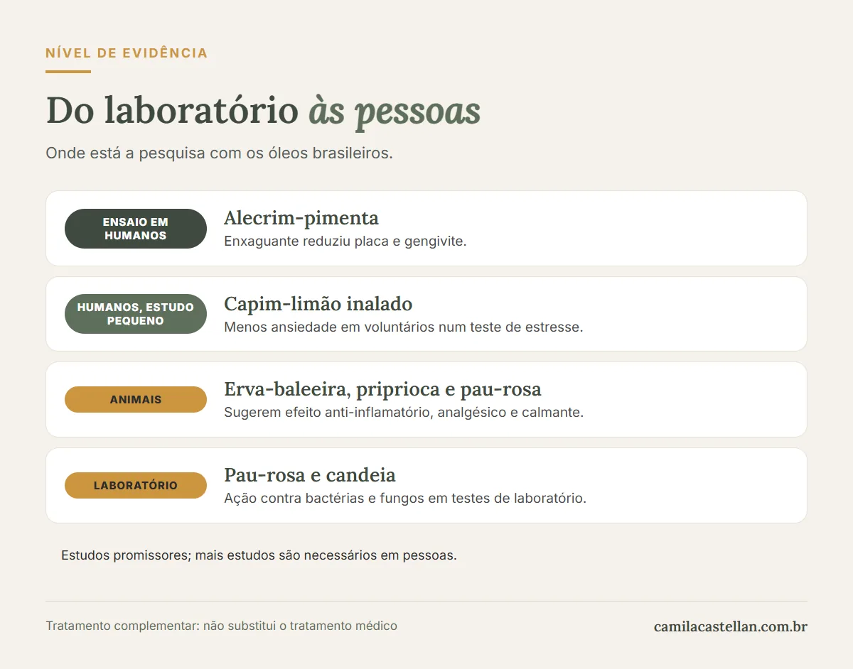 Infográfico: o nível de evidência dos estudos com óleos essenciais brasileiros