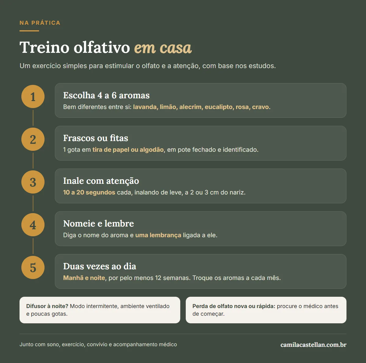 Infográfico: passo a passo do treino olfativo em casa
