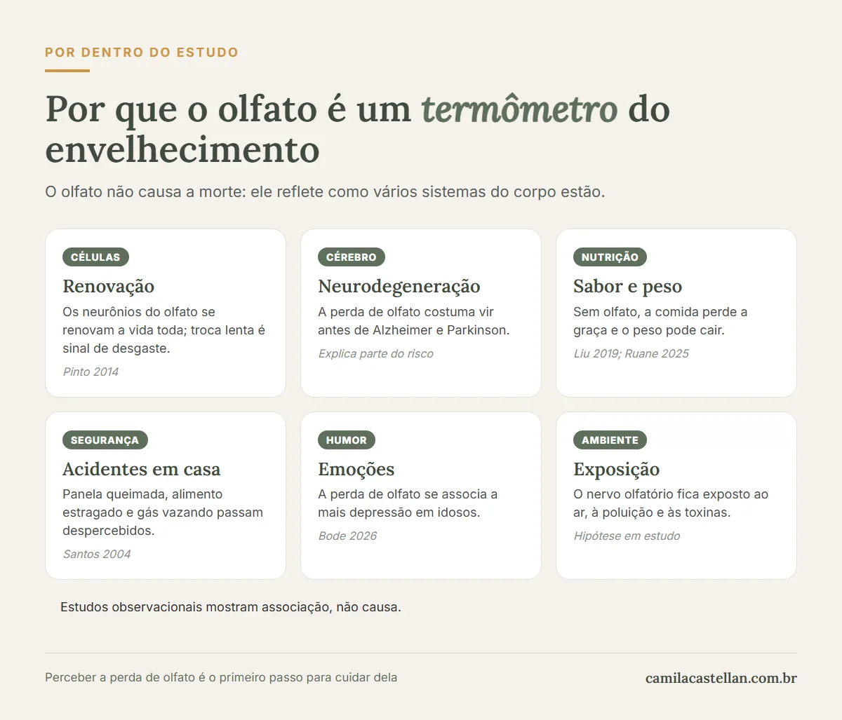 Infográfico: por que o olfato acompanha a saúde no envelhecimento, com renovação celular, cérebro, nutrição, segurança, humor e ambiente