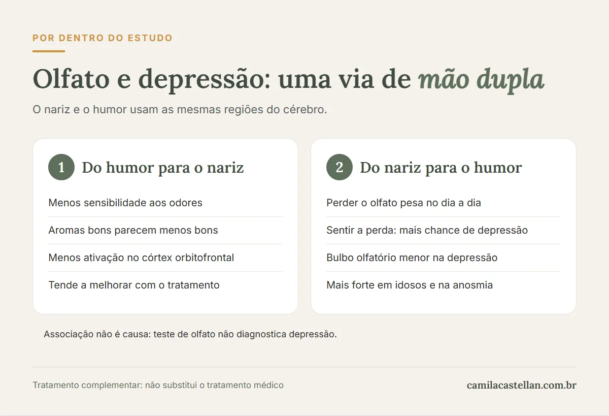 Infográfico: olfato e depressão, uma via de mão dupla entre o nariz e o humor