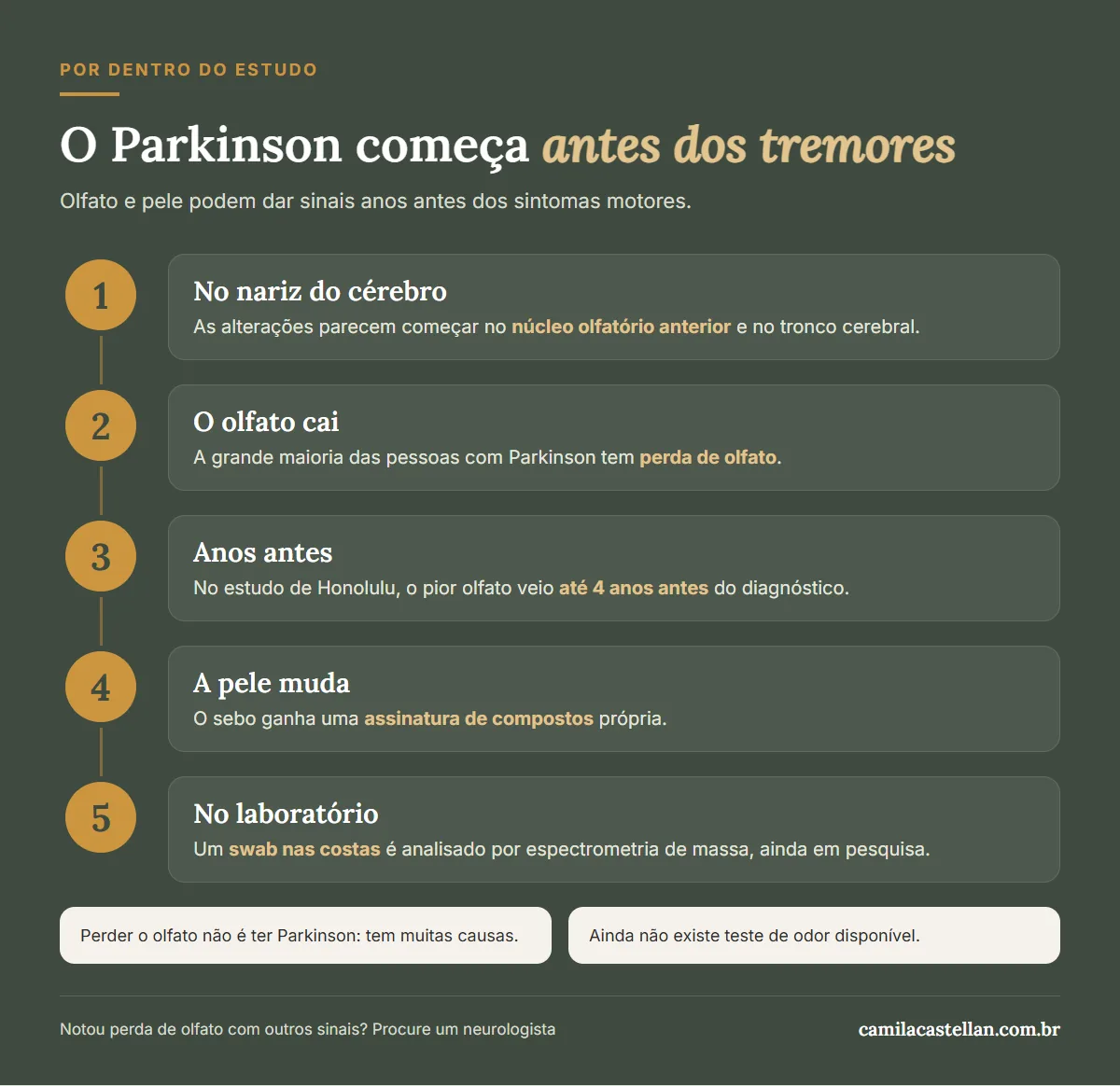 Infográfico: como o Parkinson atinge o olfato e a pele antes dos sintomas motores