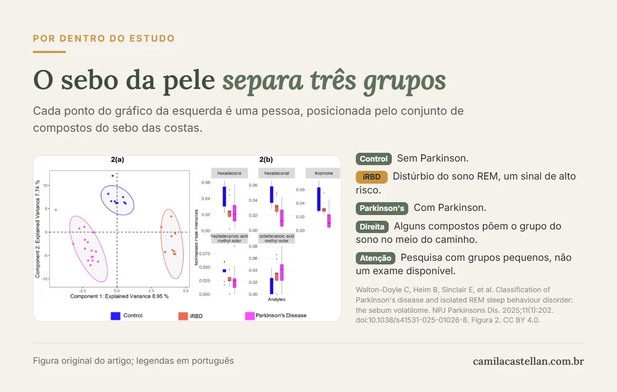 Gráfico do estudo de Walton-Doyle e colegas (2025): os compostos do sebo separam pessoas sem Parkinson, com distúrbio do sono REM e com Parkinson