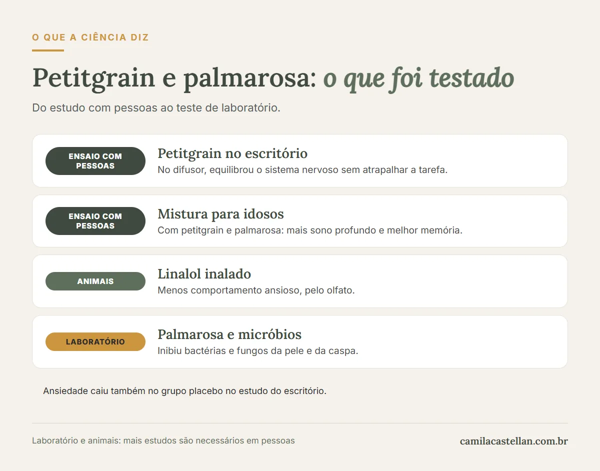 Infográfico: o que os estudos mostram sobre os óleos essenciais de petitgrain e palmarosa, com nível de evidência