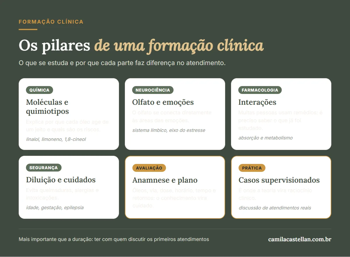 Infográfico: os pilares de uma formação em aromaterapia clínica, química, neurociência, farmacologia, segurança, avaliação e prática