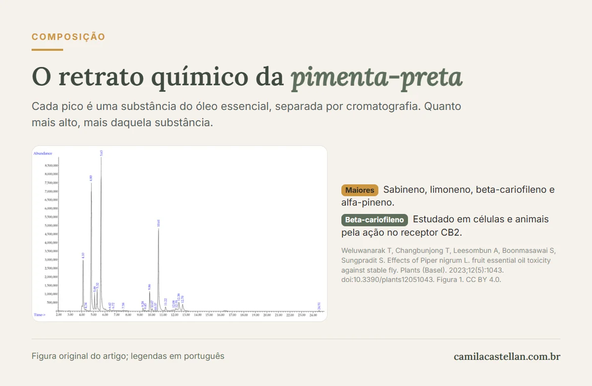Cromatograma do óleo essencial de pimenta-preta mostrando os picos de alfa-pineno, sabineno, limoneno e beta-cariofileno