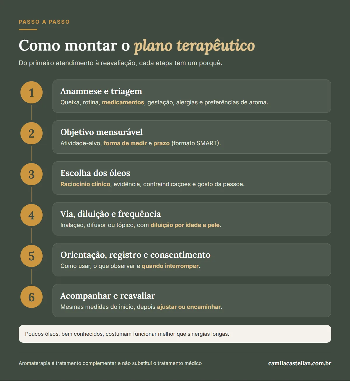 Infográfico: as etapas do plano terapêutico em aromaterapia, da anamnese e triagem de segurança à reavaliação e ao encaminhamento
